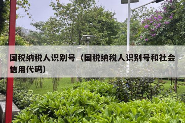 国税纳税人识别号（国税纳税人识别号和社会信用代码）