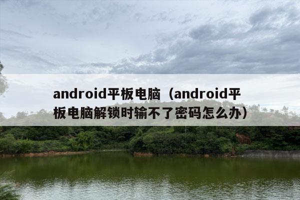 android平板电脑（android平板电脑解锁时输不了密码怎么办）