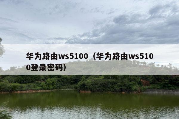 华为路由ws5100（华为路由ws5100登录密码）