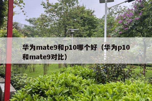 华为mate9和p10哪个好（华为p10和mate9对比）