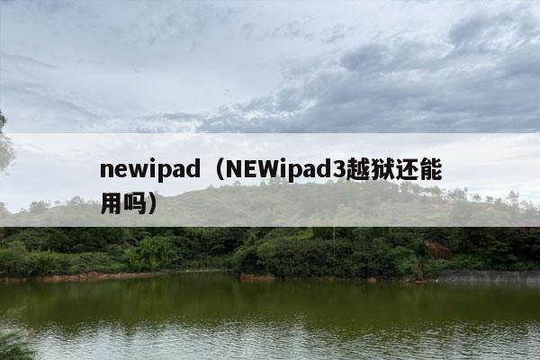 newipad（NEWipad3越狱还能用吗）