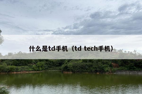 什么是td手机（td tech手机）