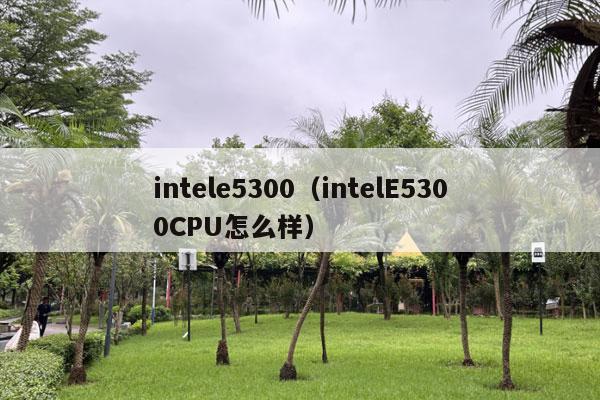 intele5300（intelE5300CPU怎么样）