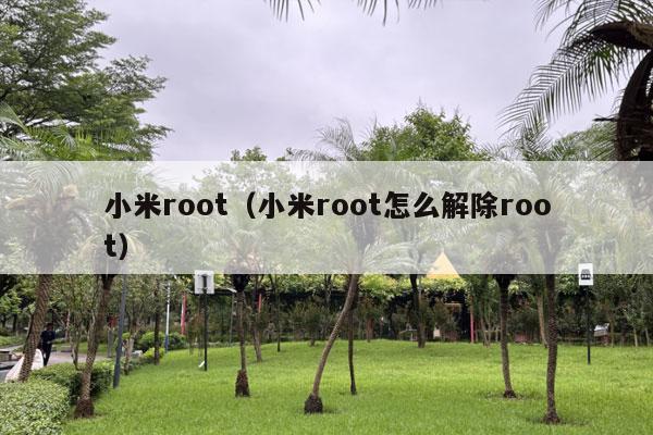 小米root（小米root怎么解除root）