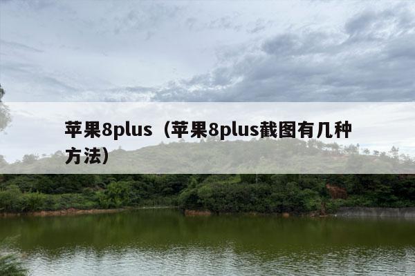 苹果8plus（苹果8plus截图有几种方法）