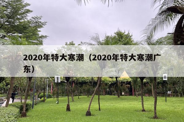 2020年特大寒潮（2020年特大寒潮广东）