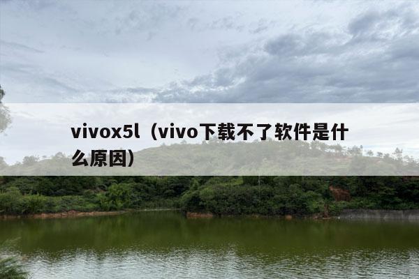 vivox5l（vivo下载不了软件是什么原因）