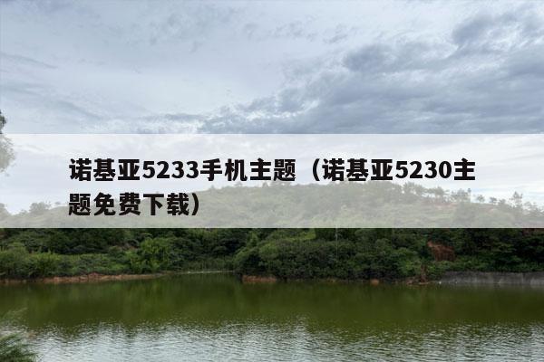 诺基亚5233手机主题（诺基亚5230主题免费下载）