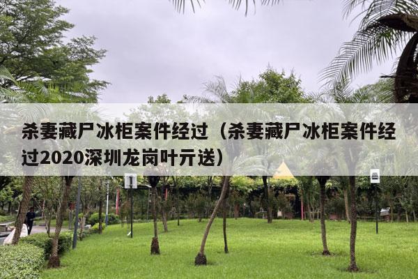 杀妻藏尸冰柜案件经过（杀妻藏尸冰柜案件经过2020深圳龙岗叶亓送）