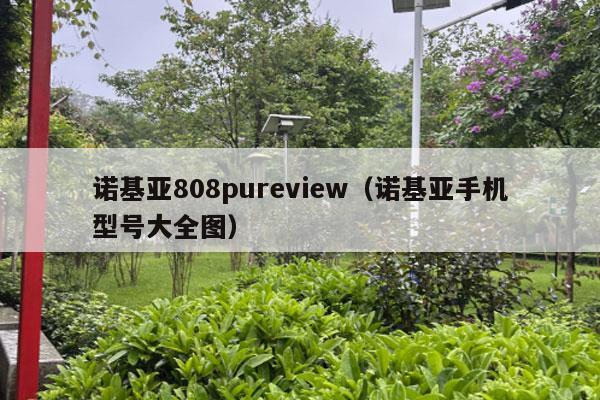 诺基亚808pureview（诺基亚手机型号大全图）