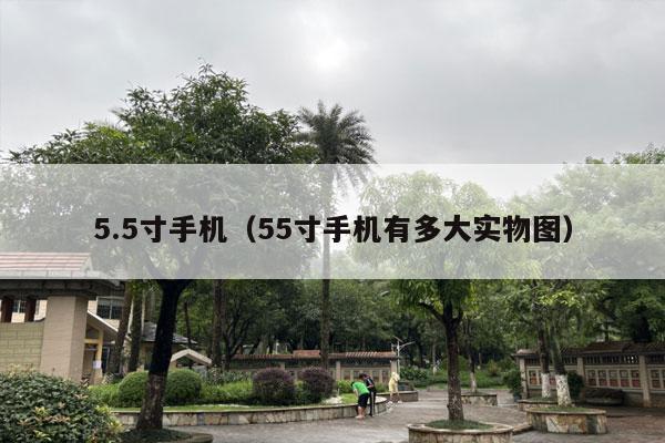 5.5寸手机（55寸手机有多大实物图）