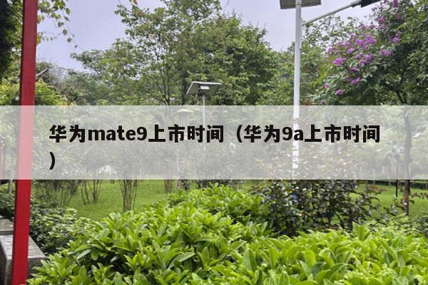 华为mate9上市时间（华为9a上市时间）