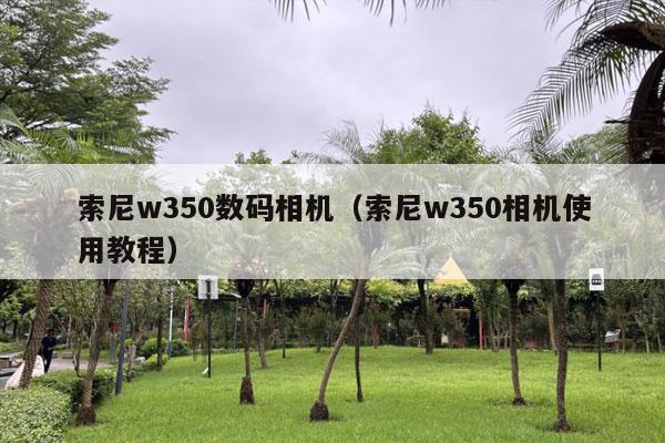 索尼w350数码相机（索尼w350相机使用教程）