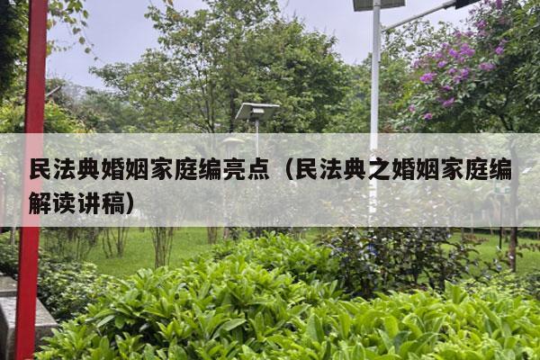 民法典婚姻家庭编亮点（民法典之婚姻家庭编解读讲稿）