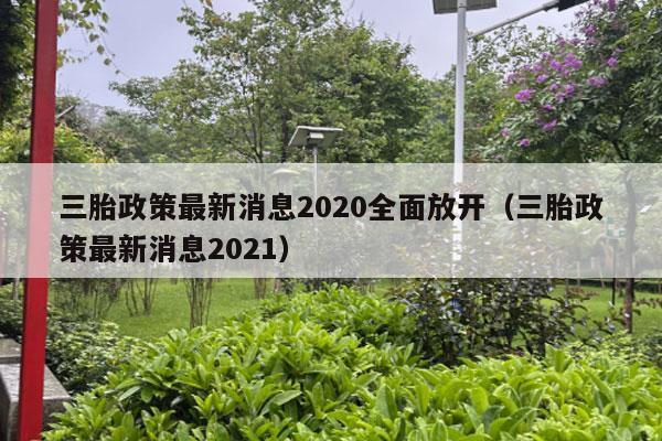 三胎政策最新消息2020全面放开（三胎政策最新消息2021）