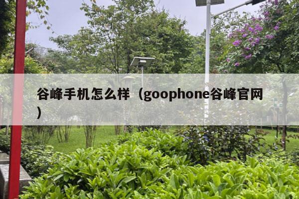 谷峰手机怎么样（goophone谷峰官网）