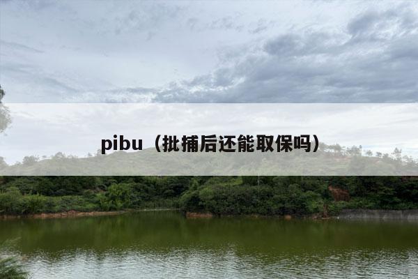 pibu（批捕后还能取保吗）