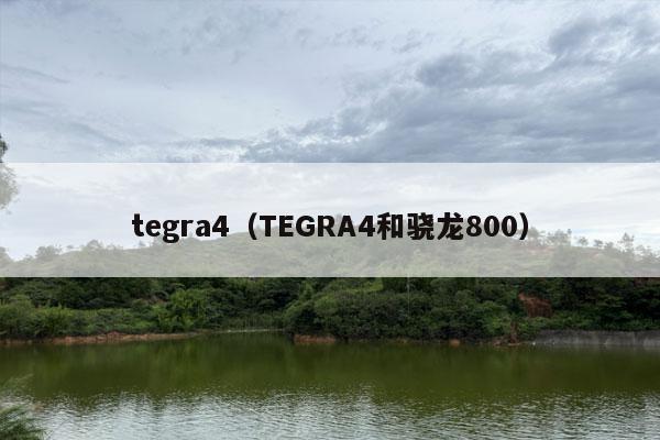 tegra4（TEGRA4和骁龙800）