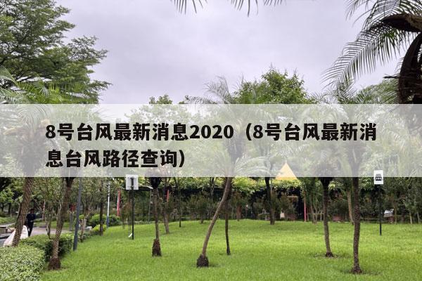 8号台风最新消息2020（8号台风最新消息台风路径查询）