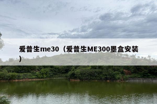 爱普生me30（爱普生ME300墨盒安装）