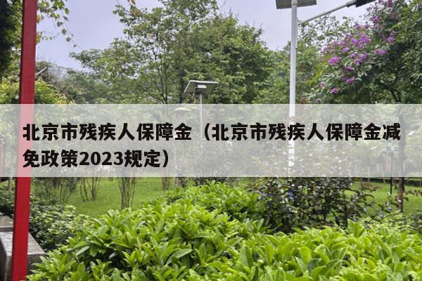 北京市残疾人保障金（北京市残疾人保障金减免政策2023规定）