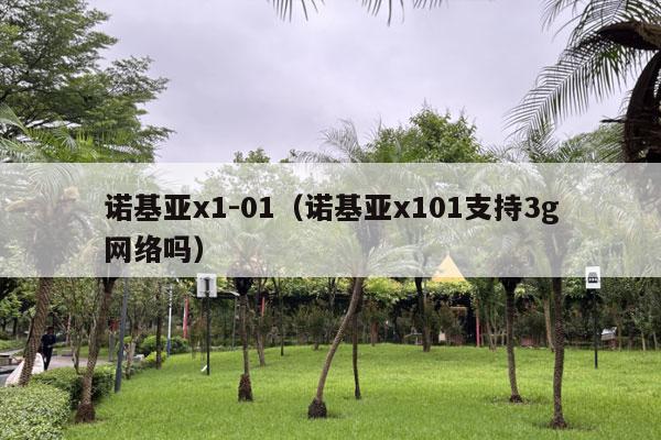 诺基亚x1-01（诺基亚x101支持3g网络吗）