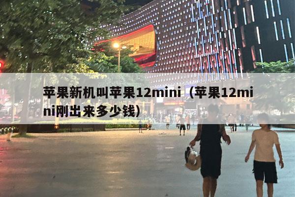 苹果新机叫苹果12mini（苹果12mini刚出来多少钱）