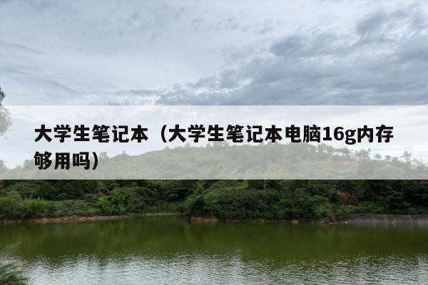 大学生笔记本（大学生笔记本电脑16g内存够用吗）