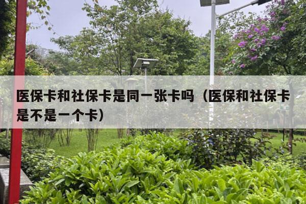 医保卡和社保卡是同一张卡吗（医保和社保卡是不是一个卡）