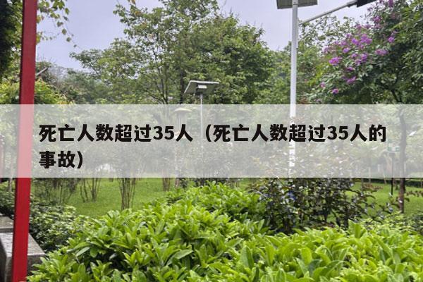 死亡人数超过35人（死亡人数超过35人的事故）