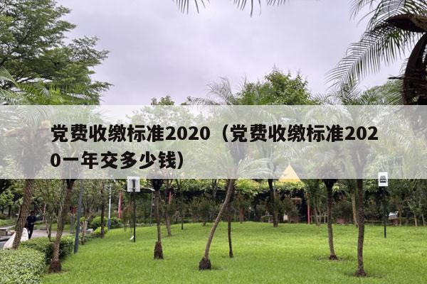 党费收缴标准2020（党费收缴标准2020一年交多少钱）