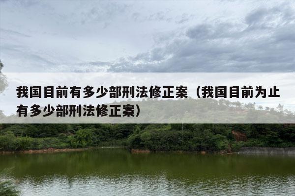 我国目前有多少部刑法修正案（我国目前为止有多少部刑法修正案）