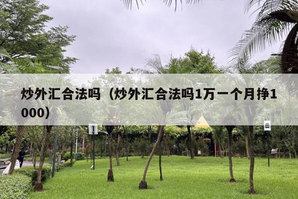 炒外汇合法吗（炒外汇合法吗1万一个月挣1000）