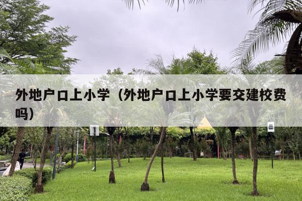 外地户口上小学（外地户口上小学要交建校费吗）