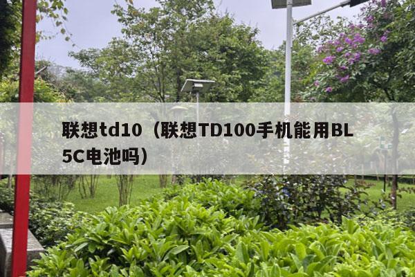 联想td10（联想TD100手机能用BL5C电池吗）