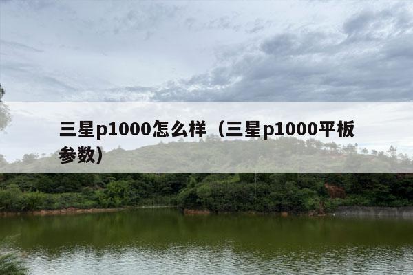 三星p1000怎么样（三星p1000平板参数）