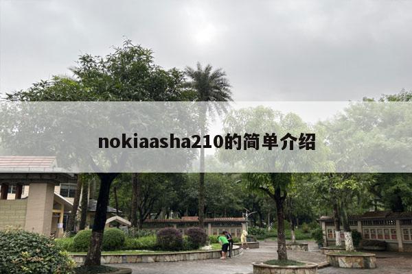 nokiaasha210的简单介绍