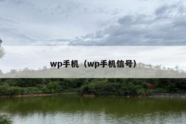 wp手机（wp手机信号）