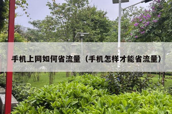 手机上网如何省流量（手机怎样才能省流量）