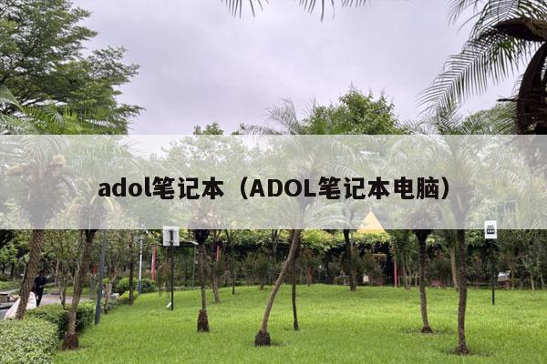 adol笔记本（ADOL笔记本电脑）