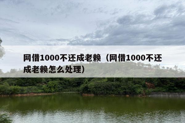 网借1000不还成老赖（网借1000不还成老赖怎么处理）