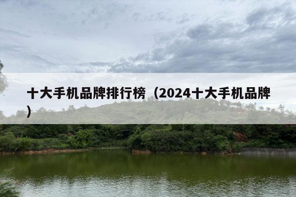 十大手机品牌排行榜（2024十大手机品牌）