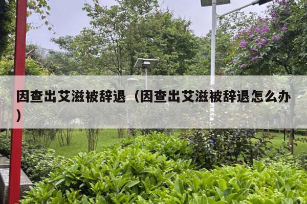 因查出艾滋被辞退（因查出艾滋被辞退怎么办）