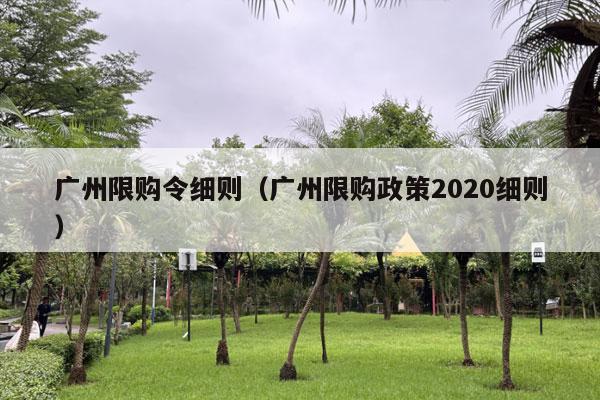 广州限购令细则（广州限购政策2020细则）