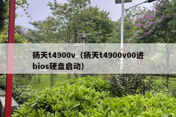 扬天t4900v（扬天t4900v00进bios硬盘启动）