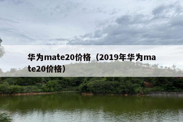 华为mate20价格（2019年华为mate20价格）