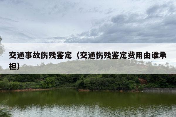 交通事故伤残鉴定（交通伤残鉴定费用由谁承担）