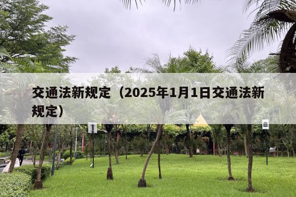 交通法新规定（2025年1月1日交通法新规定）