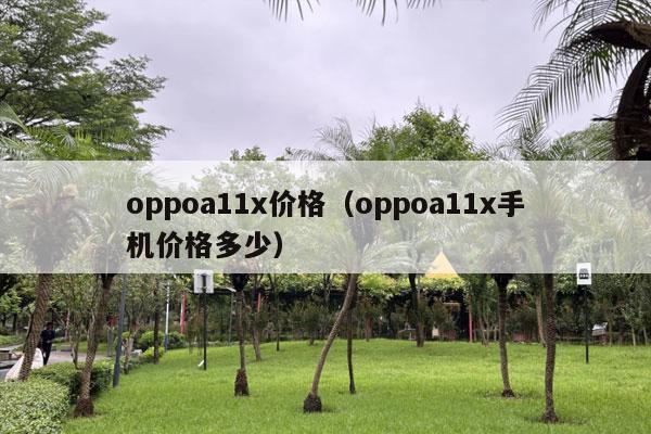 oppoa11x价格（oppoa11x手机价格多少）