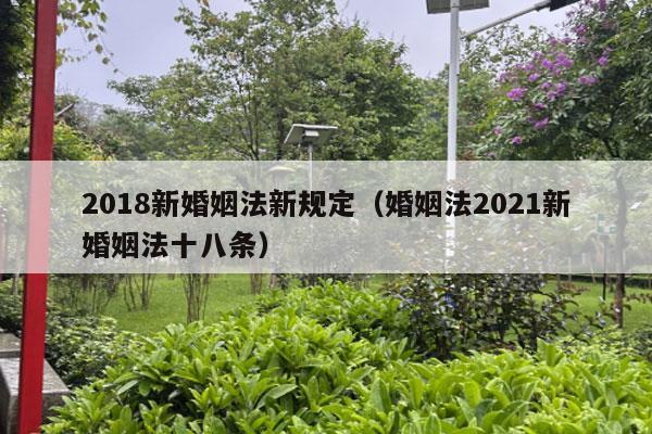 2018新婚姻法新规定（婚姻法2021新婚姻法十八条）